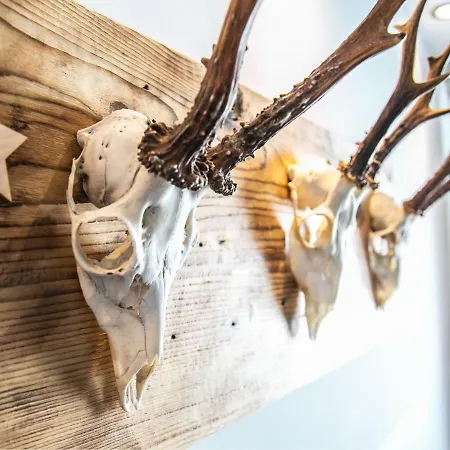 Alpenliebe Lejlighed Rauris