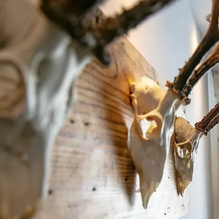 Alpenliebe 劳里斯