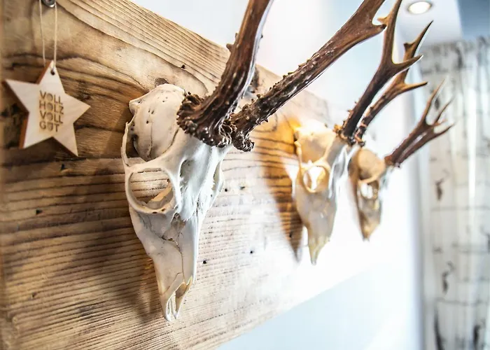 Alpenliebe Lejlighed Rauris